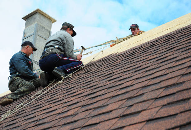 Best Roofing Contractor Near Me  in Markle, IN